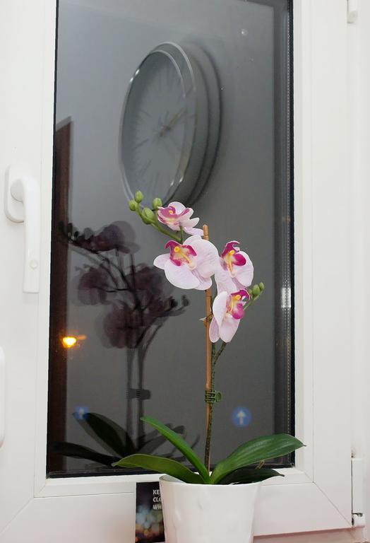 Apartmán Fancy 1Bd Family Friendly In Historical Centre Bukurešť Exteriér fotografie